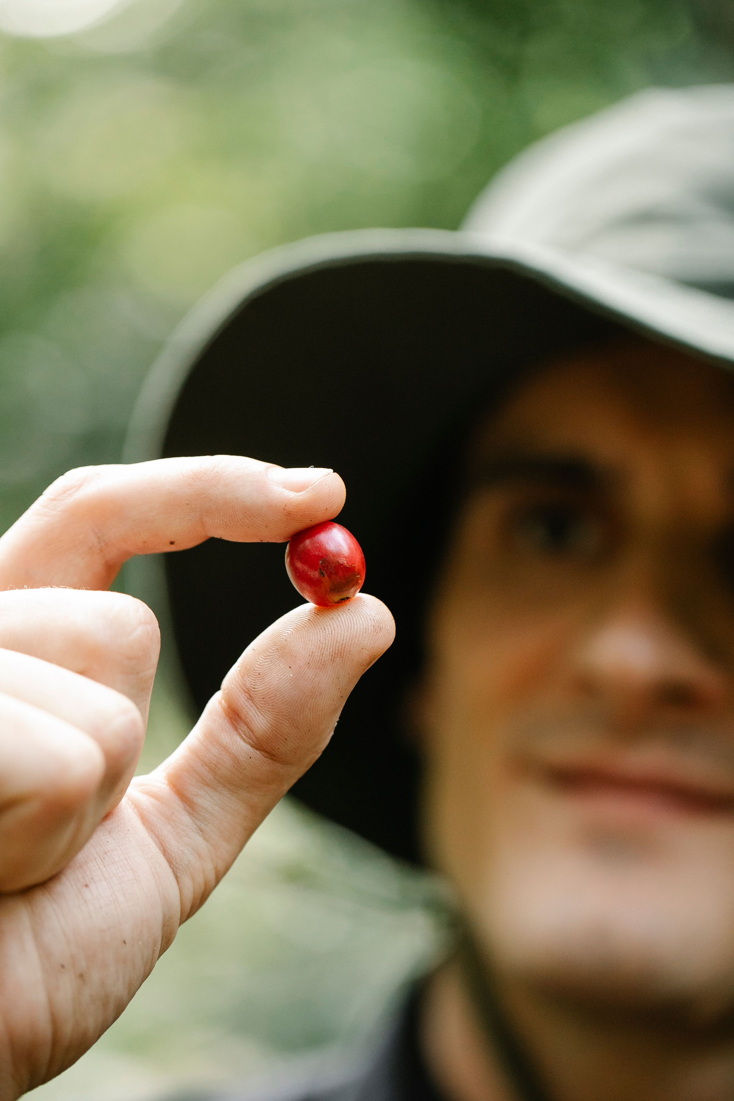 A single ripe red coffee cherry held between finger and thumb