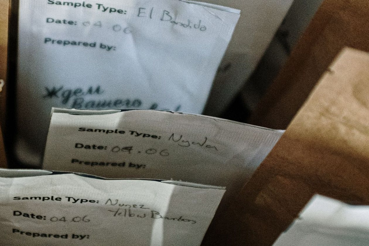 Coffee sample bags stacked together, each with a printed label reading Sample Type, Date and Prepared by, filled in by hand.